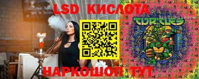 шишки Малгобек