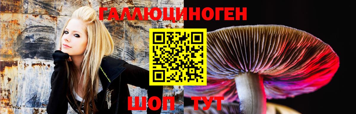 Псилоцибиновые грибы GOLDEN TEACHER  магазин  наркотиков  Псилоцибиновые грибы Cubensis  Берёзовский  Вход с VPN 