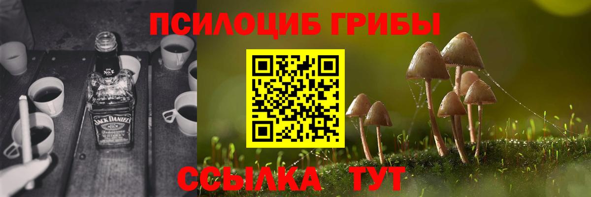 Галлюциногенные грибы GOLDEN TEACHER Берёзовский