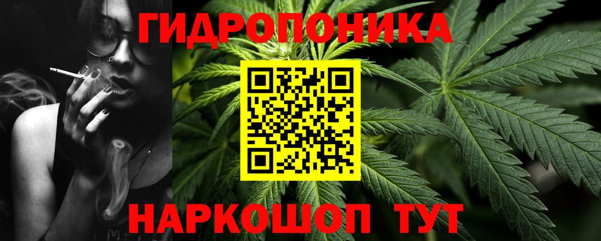 Марихуана гибрид Берёзовский